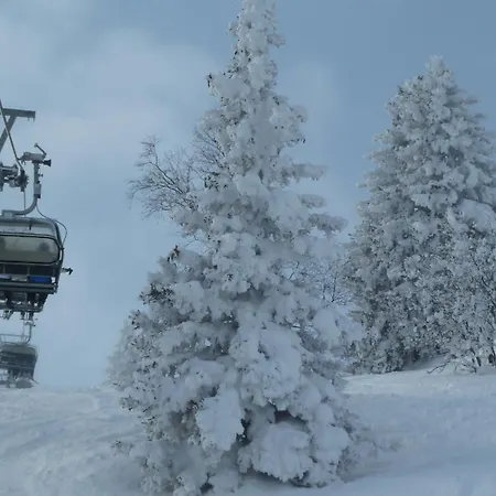 Frühstückspension&ferienhaus Fädnerspitze 3*