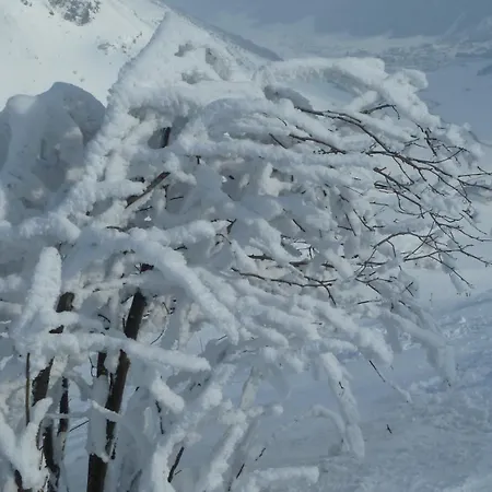 Frühstückspension&ferienhaus Fädnerspitze 3* Galtür